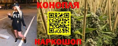 apvp Обь