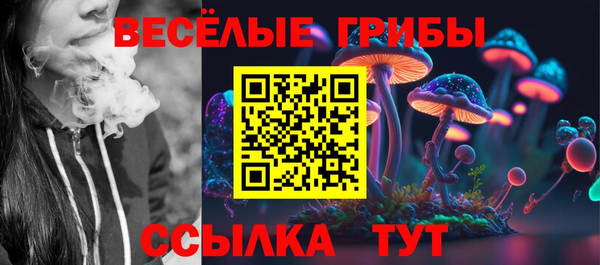 Ростов-на-Дону  Псилоцибиновые грибы GOLDEN TEACHER  Вход с VPN 